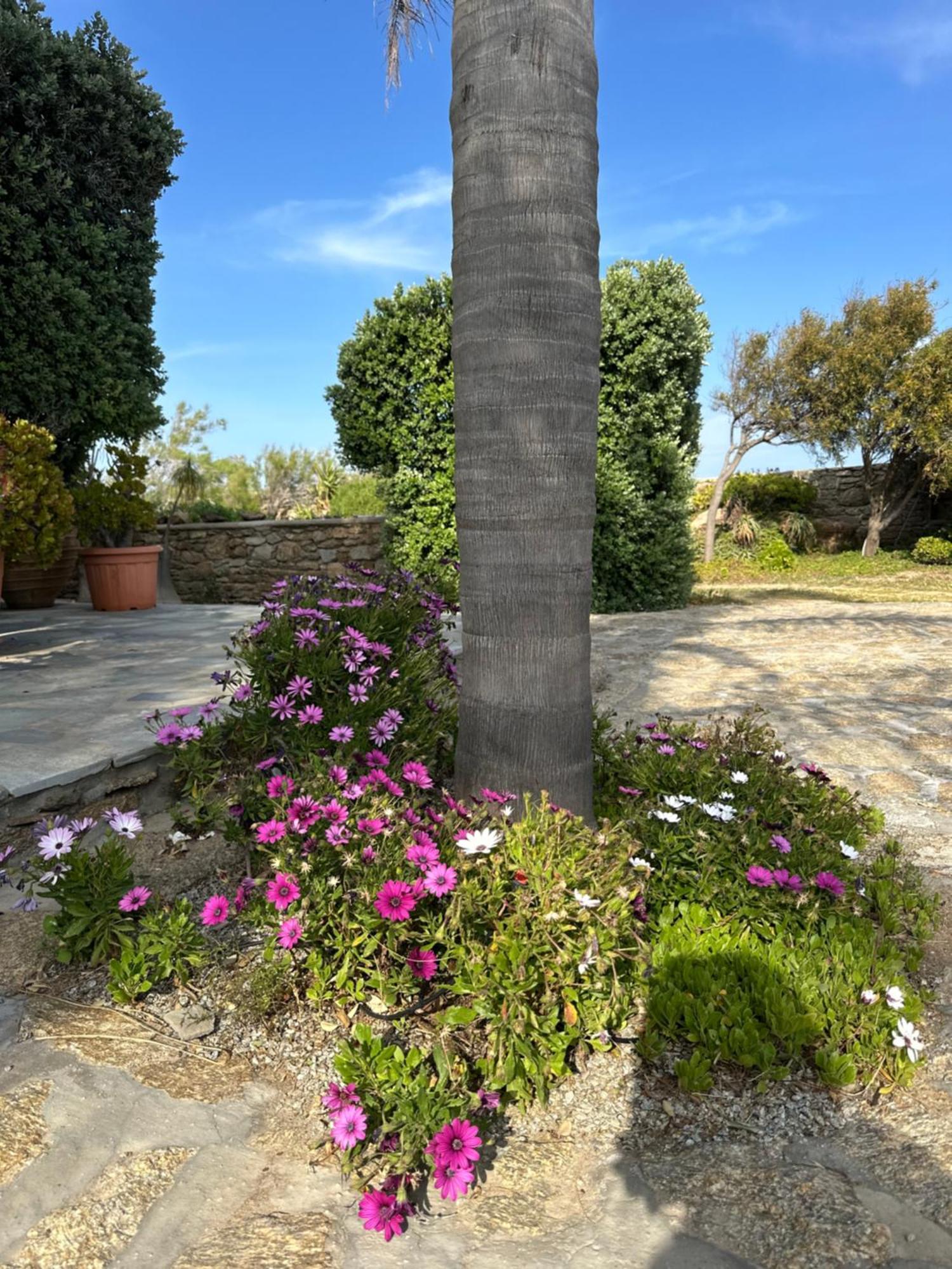 Divers House 애그라리 외부 사진